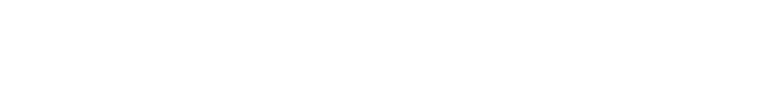 Wort-Bildmarke der Bildungsvernetzer GmbH